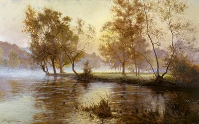 Sole nascente nella nebbia